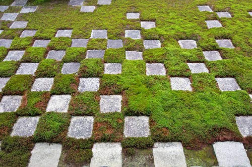 Moss and stone garden in a temple in Kyoto, Japan.