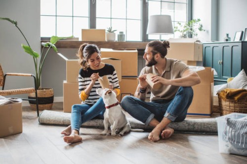 moving day - junk food stock pictures, royalty-free photos & images