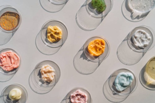 multicolored creams and scrubs in many petri dishes on gray background. concept of cosmetics laboratory researches. photography in flat lay style - food stock pictures, royalty-free photos & images