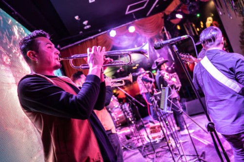 musician man playing trumpet in a music concert - concert stock pictures, royalty-free photos & images