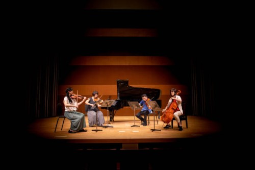 musician playing instruments at classical concert - concert stock pictures, royalty-free photos & images
