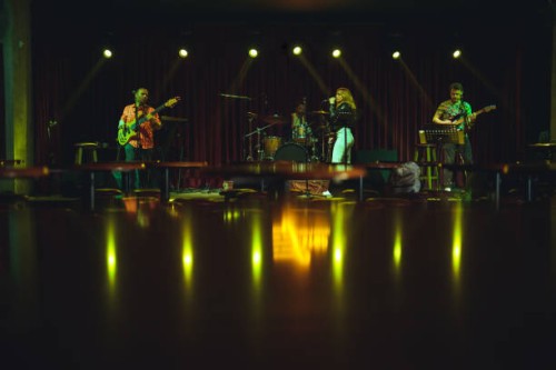 musiciens sur scène - concert photos et images de collection