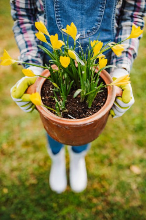 my garden is my heaven - garden decoration stock pictures, royalty-free photos & images