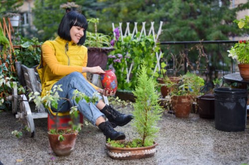 my little garden after rain - garden decoration stock pictures, royalty-free photos & images