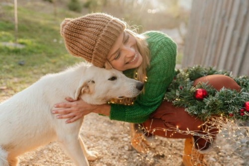 my little helper - garden decoration stock pictures, royalty-free photos & images