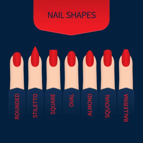 nail shapes, illustration - nails art stock illustrations