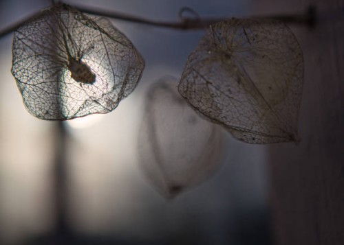 narva-jõesuu,estonia - garden decoration stock pictures, royalty-free photos & images