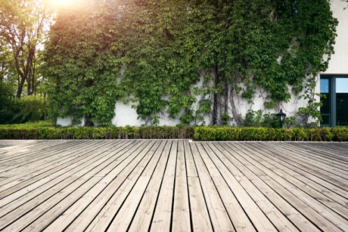 natural green wall made of leaves - garden decoration stock pictures, royalty-free photos & images