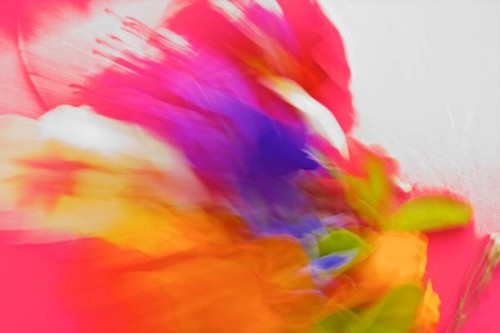 nature, abstract vibrant,bold coloured pantones - fashion stock pictures, royalty-free photos & images