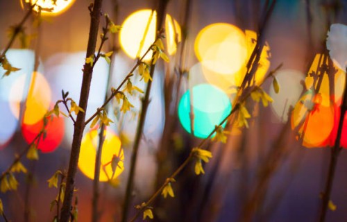 nature and the city - garden decoration stock pictures, royalty-free photos & images