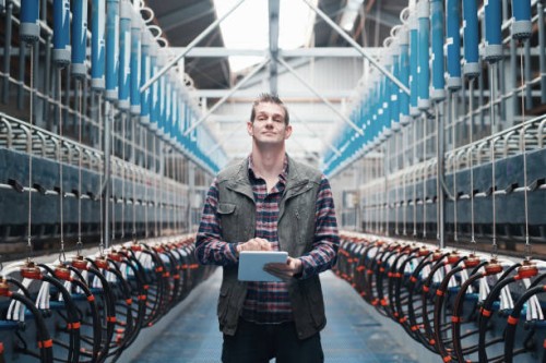 niet alleen uw gemiddelde melkveebedrijf - food stockfoto's en -beelden