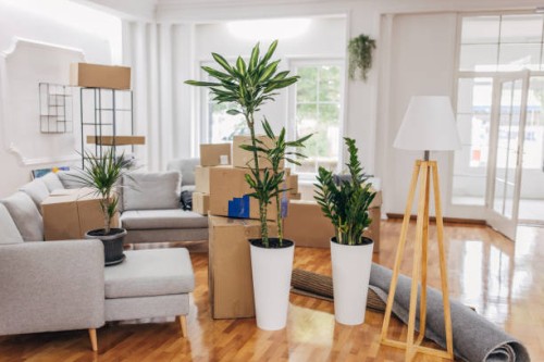 nieuw huis - home decoration stockfoto's en -beelden