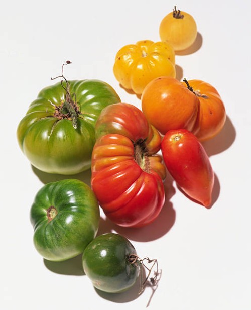 non-hybridized heirloom tomatoes - food stockfoto's en -beelden