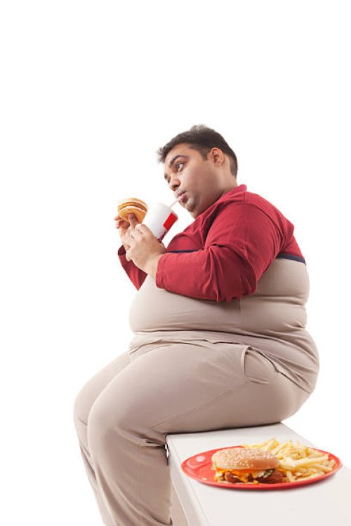 obese man eating junk food - junk food fotografías e imágenes de stock