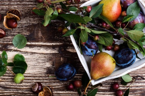 occasions. thanksgiving autumnal still life - home decoration stock pictures, royalty-free photos & images