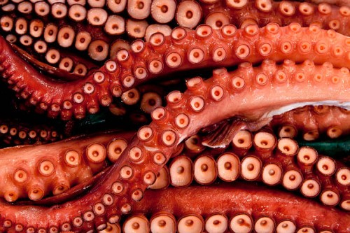 octopus for sale at tsukiji market - food stock pictures, royalty-free photos & images