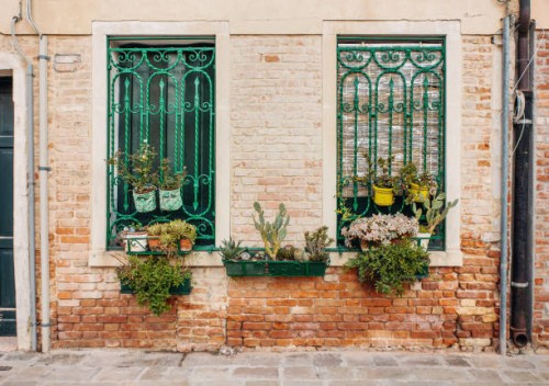old house facade full of succulents in venice - garden decoration stock pictures, royalty-free photos & images