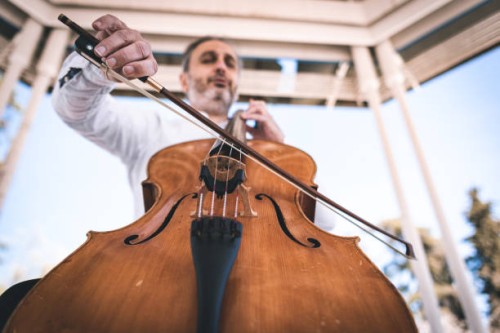 old man playing cello in a park - concert stock pictures, royalty-free photos & images