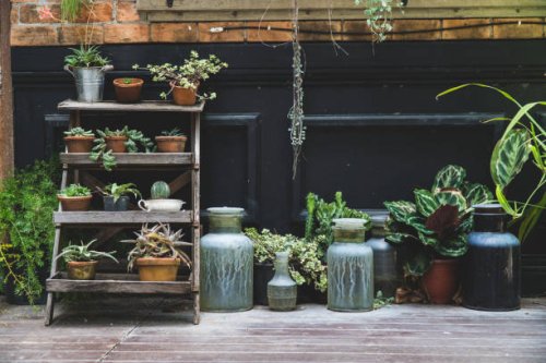 old pottery in garden,gardening decoration element,green plant on pottery in houseplant - garden decoration stock pictures, royalty-free photos & images
