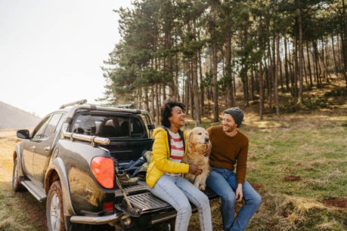 on a road trip with our dog - travel stock pictures, royalty-free photos & images