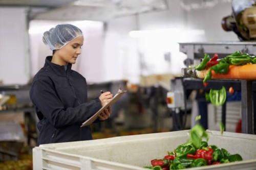 only top quality will do - food stock pictures, royalty-free photos & images