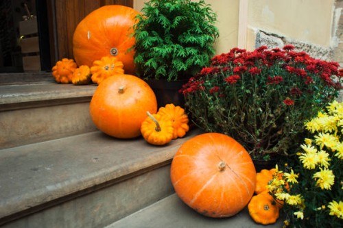 orange halloween pumpkins decoration sitting on a stone sidewalk with autumn leaves and flowers surrounding, farm street markets - home decoration stock pictures, royalty-free photos & images
