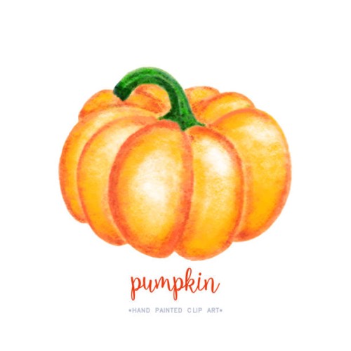 orange pastel drawing pumpkin isolated on white. - home decoration stock illustrations