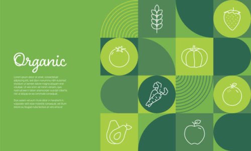 organic banner design vector illustration. organic food, vegan, farm fresh, natural product, bio and locally grown. - food stock illustrations