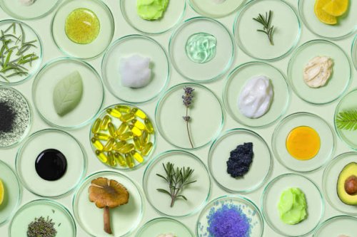 organic, bio cosmetics healthy concept with petri dishes with natural plants and beauty products. - food stock pictures, royalty-free photos & images