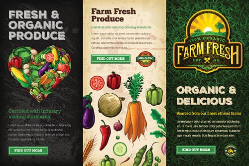 organic farm fresh web banner set - food stock illustrations