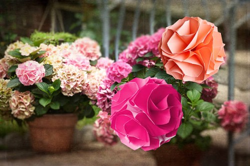 origami kusudama garden. roses spheres - garden decoration stock pictures, royalty-free photos & images
