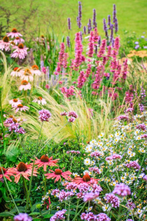 ornamental garden with mixed borders - garden decoration stock pictures, royalty-free photos & images