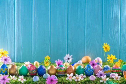 ostereier auf rasengras und blauer holzwand mit frühlingsblumen - garden decoration stock-fotos und bilder