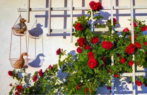 our garden - garden decoration stock pictures, royalty-free photos & images