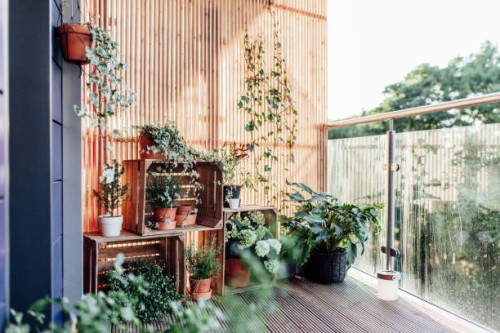 outdoor plants in balcony - home decoration stock pictures, royalty-free photos & images