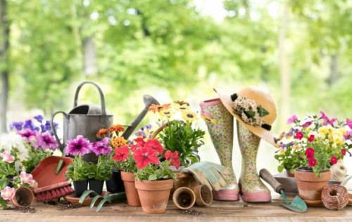 outils de jardin et fond de fleurs de source - garden decoration photos et images de collection