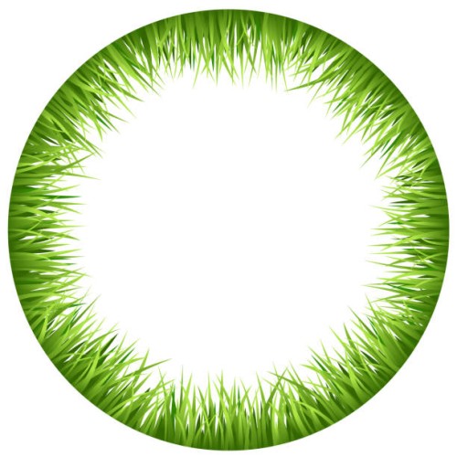 oval frame grass - garden decoration stock illustrations