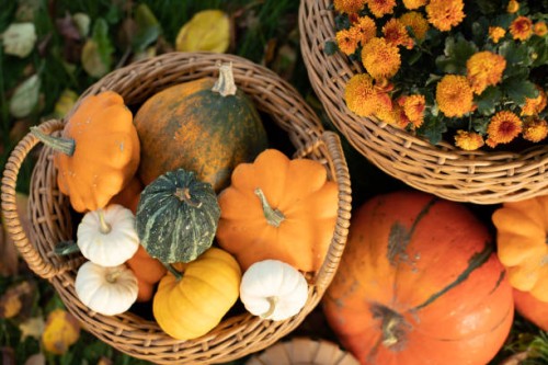 overhead view of wicker baskets filled with assorted pumpkins and orange chrysanthemums in a garden - garden decoration stock pictures, royalty-free photos & images