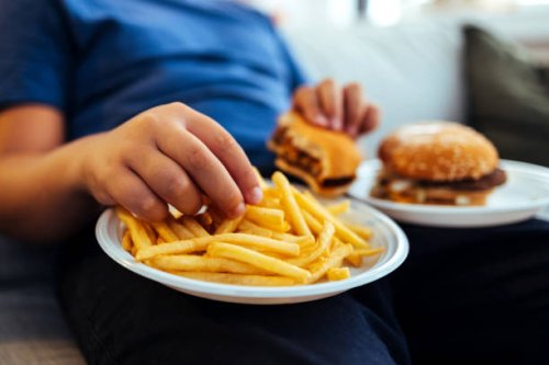 overweight teenage boy eating too much fried food - junk food stock pictures, royalty-free photos & images