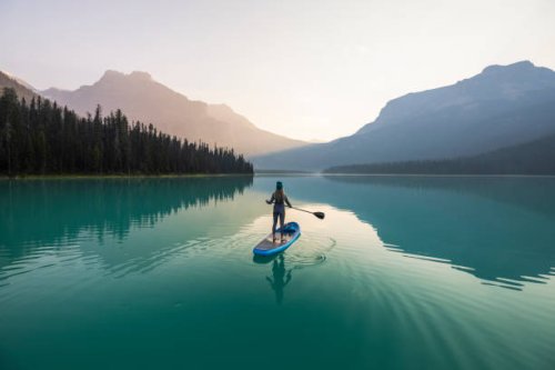 paddleboarding emerald lake at sunrise in yoho national park - travel stock pictures, royalty-free photos & images