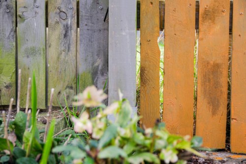 painted fence - garden decoration stock pictures, royalty-free photos & images