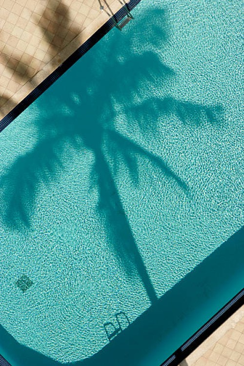 palm tree and pool, birds eye-view. - fashion stock pictures, royalty-free photos & images