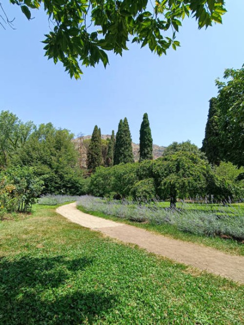panorama from garden - garden decoration stockfoto's en -beelden