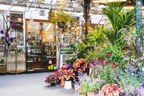 paris flower market with flowers and plants on île de la cité - garden decoration stock pictures, royalty-free photos & images