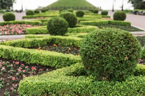 park with shrubs and green lawns, landscape design - garden decoration stock pictures, royalty-free photos & images