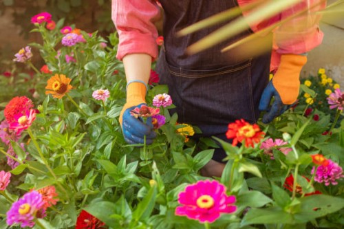 part-time male gardener - garden decoration stock pictures, royalty-free photos & images