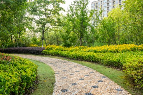 path full of daisies in the garden - garden decoration stock pictures, royalty-free photos & images
