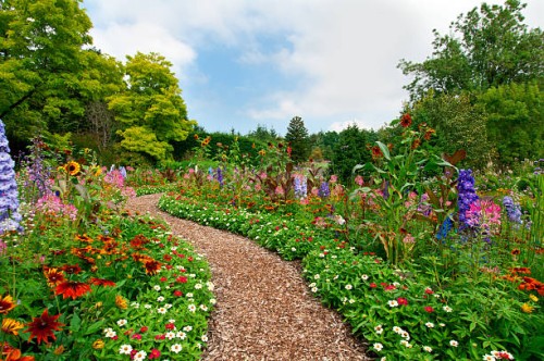 path thru lush summer flower garden - i - garden decoration stock pictures, royalty-free photos & images