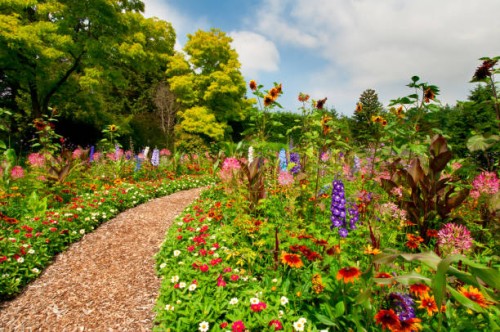 path thru lush summer flower garden - iv - garden decoration stock pictures, royalty-free photos & images