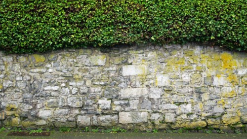 patinated stone wall with lichen, thick ivy hedge and sidewalk in evian-les-bains, haute-savoie, france - garden decoration stock pictures, royalty-free photos & images